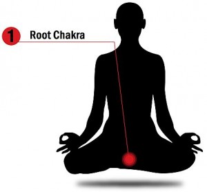 The root chakra