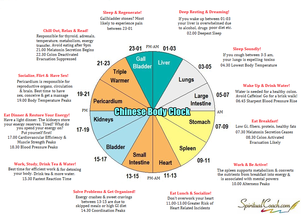 chinese-body-clock