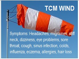 TCM-Wind-–-Wind-in-Chinese-Medicine